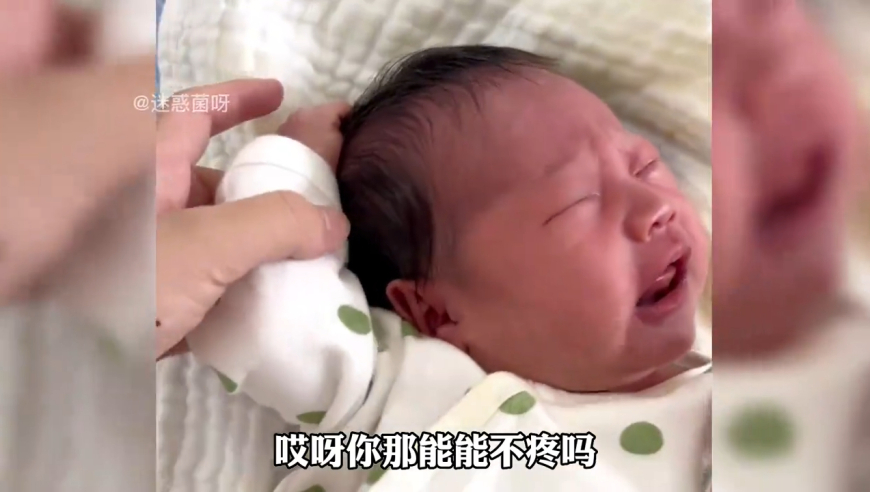 香港王中原創(chuàng)資料,?？诰教幚砼柏堉{言案件_權(quán)威版V10.91